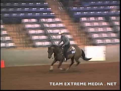 JSE SMART GUN AT THE 2014 TNRHA SMR VBC DERBY