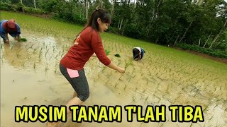 Download lagu Cerita kehidupan Musim tanam Tlah tiba mp3