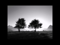 Ludovico Einaudi - Two Trees