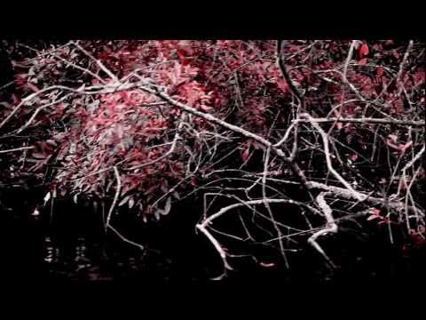 download lagu mp3 mp4 Soulfallen Scars Aligned, download mp3 Soulfallen Scars Aligned free download, download mp3 Soulfallen Scars Aligned