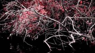 Bài hát Scars Aligned - Nghệ sĩ trình bày Soulfallen