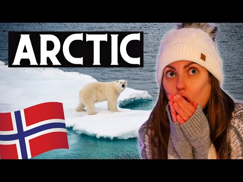 📍KIRKENES, NORWAY 🇳🇴 The NORTHERNMOST PLACE ON EARTH - Exploring the Real Arctic Circle 🥶