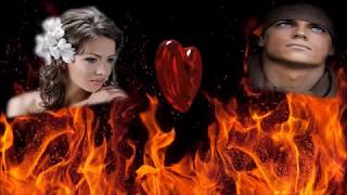 Die Flippers -- Verlorene Herzen