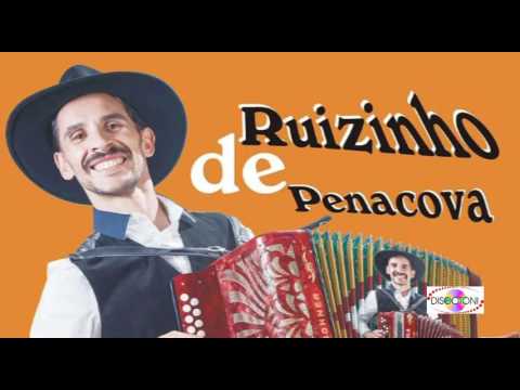 Ruizinho de Penacova - Roseira Enxertada