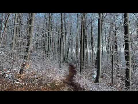 Sibelius: 2 Pieces, Op. 77: No. 2, Devotion. Ab imo pectore Mattia Zappa Cello - Max Mainolfi Piano