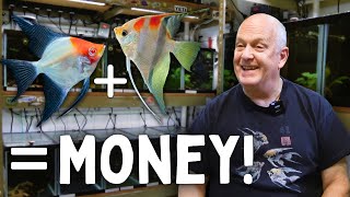 Master’s Guide to Breeding Fish for Profit!