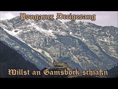 Pongauer Dreigesang - Willst an Gamsbock schiaßn