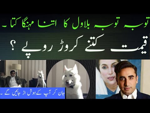 What is the Price of Bilawal Bhutto Zardari,s Dog , unbelievable Facts