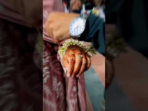 Jaana Samjho na x Wishes | Jaana Samjho Na Song BhoolBhulaiya 3 | Tripti Dimri|Kartik Aryan | #love