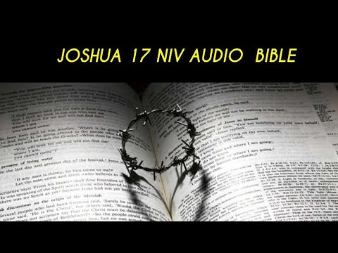 JOSHUA 17 NIV AUDIO BIBLE (with text)