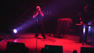 Assemblage 23 - Ground