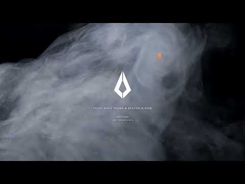 Paige & Nihil Young Feat- Beacon Bloom - Spitfire (Dosem Extended Remix)