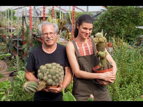 Cacti Care Tips — Plant One On Me — Ep 032