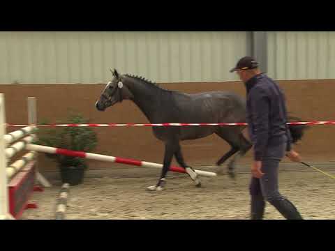 049 052 Cascadello l Cassini ll