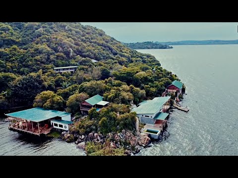 Jamwe He - Nitashe (Official Music Video)