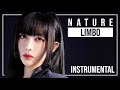 NATURE LIMBO CLEAN INSTRUMENTAL