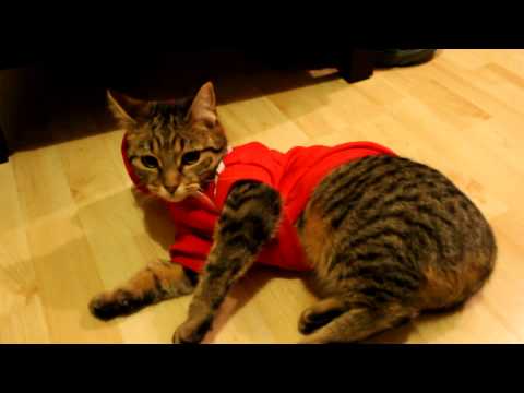 Deirdre would rather go naked