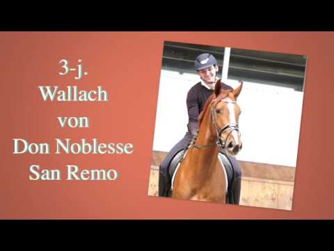 Don Nobless San Remo   Groß