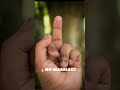 No Marriage Status