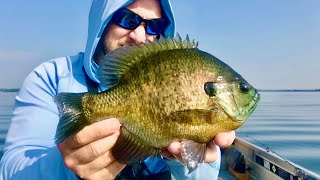 Fishing for Giant Bluegill Never Gets Old!!!