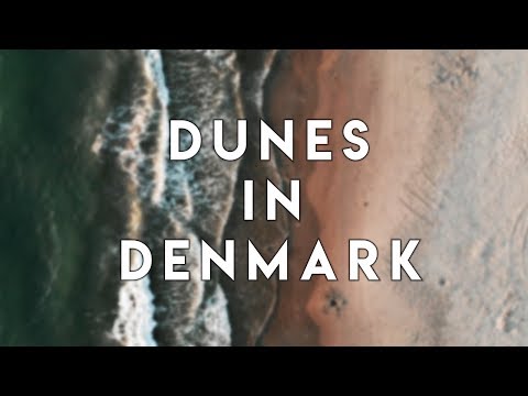 Dunes in Denmark (4K)