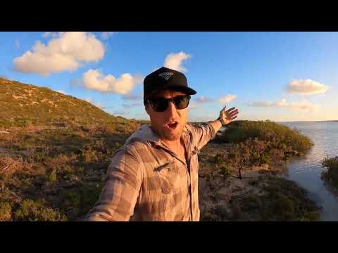 FOOD CHAIN FISHING CHALLENGE   tiny shrimp into HUGE SHARK !!! 4