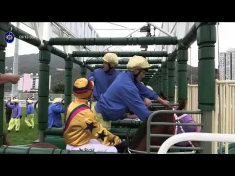 2018  HKIR 𝐓𝐡𝐞 𝐋𝐨𝐧𝐠𝐢𝐧𝐞𝐬 𝐇𝐨𝐧𝐠 𝐊𝐨𝐧𝐠 𝐒𝐏𝐑𝐈𝐍𝐓