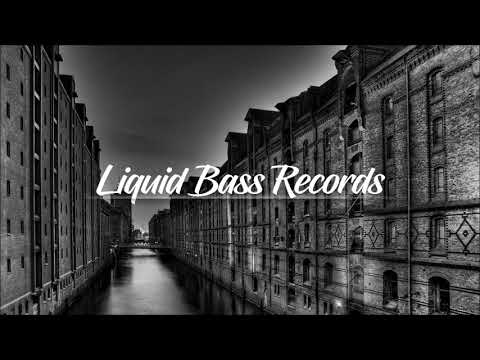 Fatboy Slim vs Fedde le Grand - Praise You [Bass House Remix]