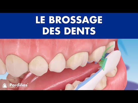 Video Pour Apprendre A Se Brosser Les Dents Comment brossage des dents correctement ©