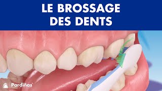 Comment brossage des dents correctement ©