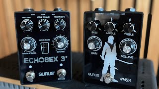 Video thumbnail for Gurus Pedals Echosex 3 and Ninja Distortion | Ambient Guitar Demo by Na West