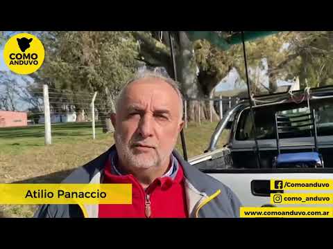 13-08-24 - Atilio Panaccio  - Martillero - Remate de Jáuregui Lorda en Tapalqué, Bs.As.