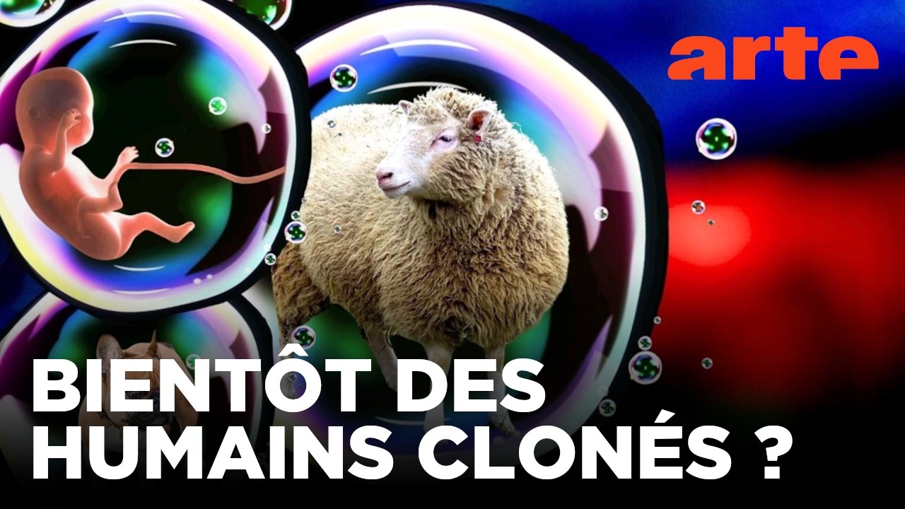 Dolly - La révolution du clonage et ses enjeux | Documentaire | ARTE