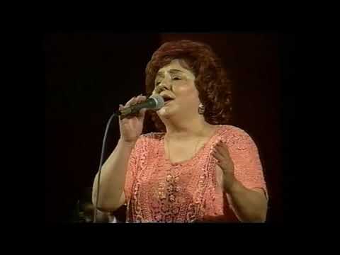 Vida Pavlović  - Došli dani tugom rasplakani (Uživo)