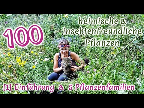 100 heimische & insektenfreundliche Pflanzen [1/4]: Einführung & 5 Familien inkl. Bestäuber-Wissen