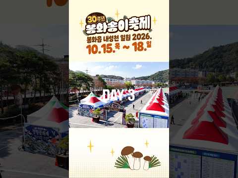 2026 #봉화송이축제 DAY3 ❗