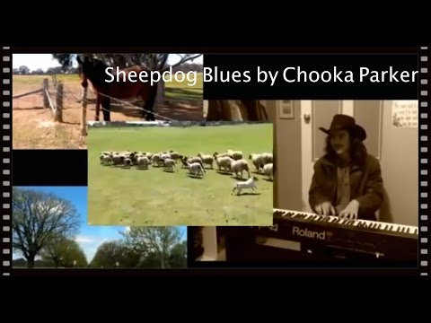 Sheepdog Blues - Chooka Parker #Improvised