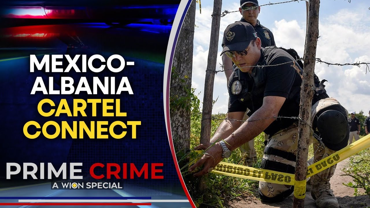 Mexico: Who is Albania's Hysa Family & What is Their Connection to Mexico's Sinaloa Cartel? | WION