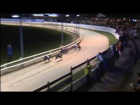 2017 CORAL CHAMPION STAKES - 3RD SEMI - T3 STARRING STORM