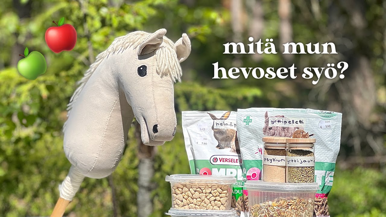Keppihevosten ruokinta 2023 🌾