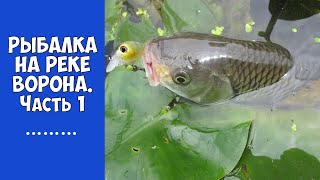 Рыбалка на челновой в тамбовской области