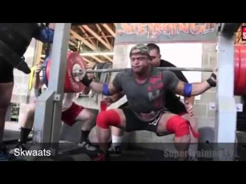 Mark Bell 530 Raw Bench
