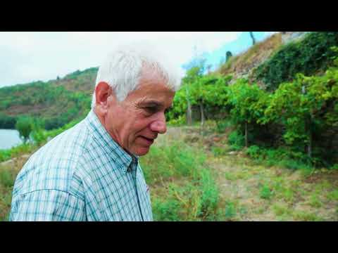 La vinha d'Isagueta