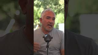 Never put a dog in a crate if you don’t do this before! #cesarmillan #dog #dogtraining