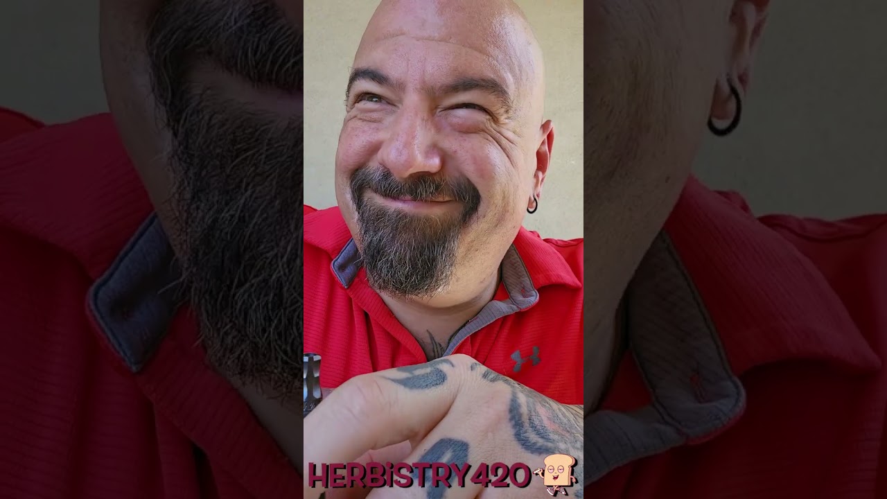 Stoner Adventure Sandwich Dreams — 5 Epic Tips