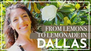 Extended Walk Through Dallas Arboretum & Botanical Gardens  |  VLOG  |  Hey It's A Good Life