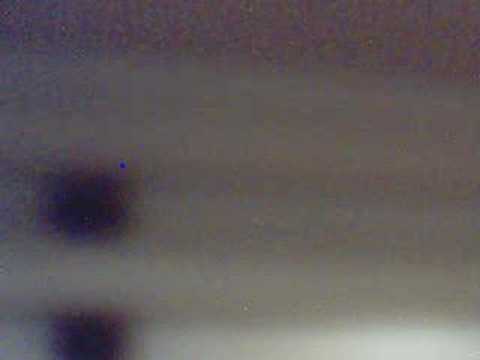 Re: Nicholas Teo - little turtle