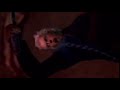 Vergil Gets SWEPT