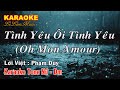 Karaoke - TÌNH YÊU ÔI TÌNH YÊU - Tone Nữ | Lê Lâm Music