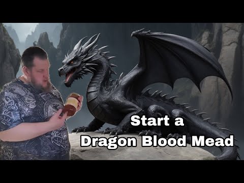Dragon Blood Mead Part 1: Berry Mix & Chili